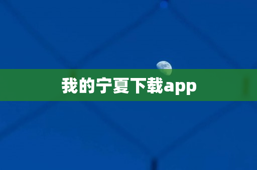 我的宁夏下载app