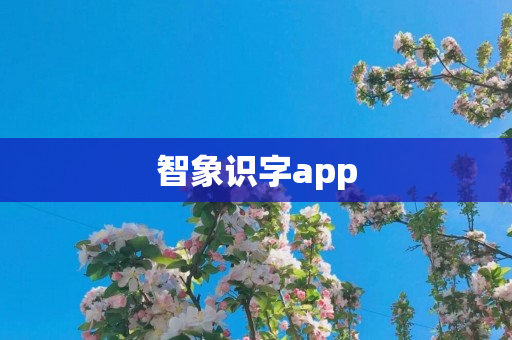 智象识字app