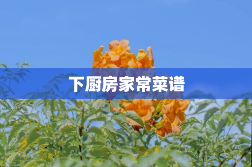 下厨房家常菜谱