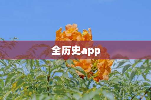 全历史app