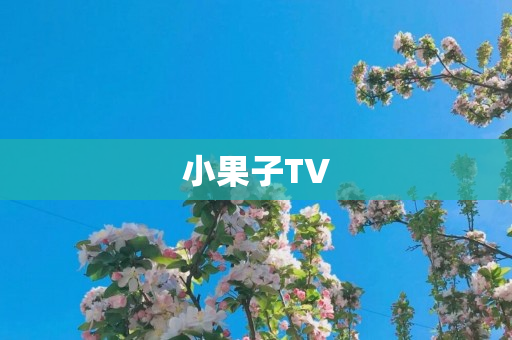 小果子TV