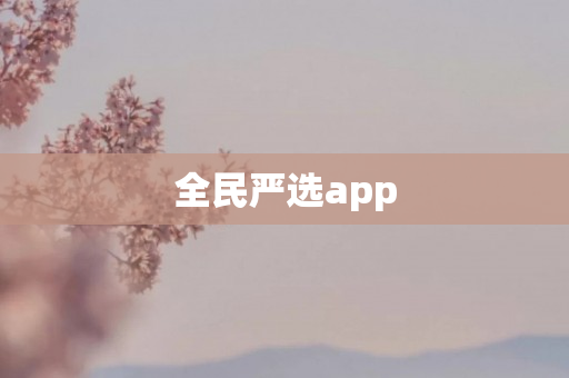 全民严选app