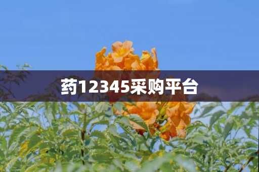 药12345采购平台