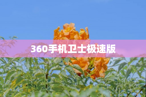 360手机卫士极速版