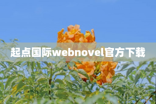 起点国际webnovel官方下载