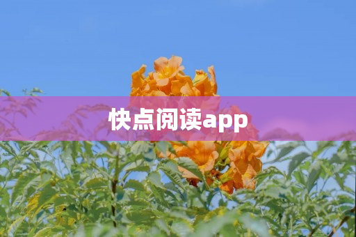 快点阅读app