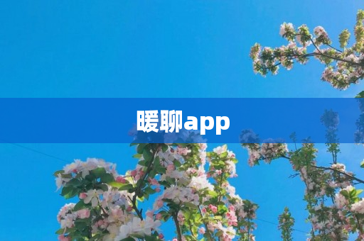 暖聊app