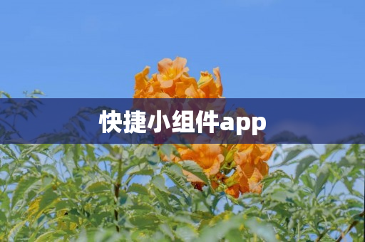 快捷小组件app