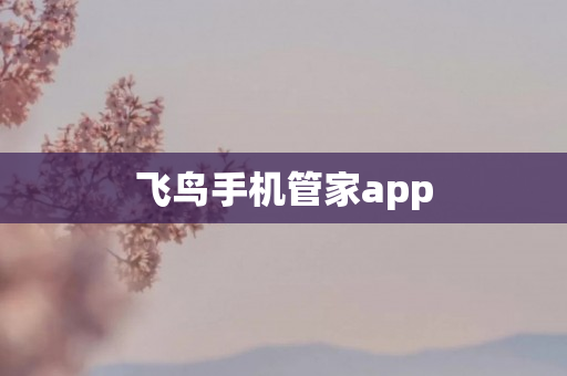 飞鸟手机管家app