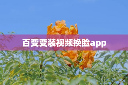 百变变装视频换脸app