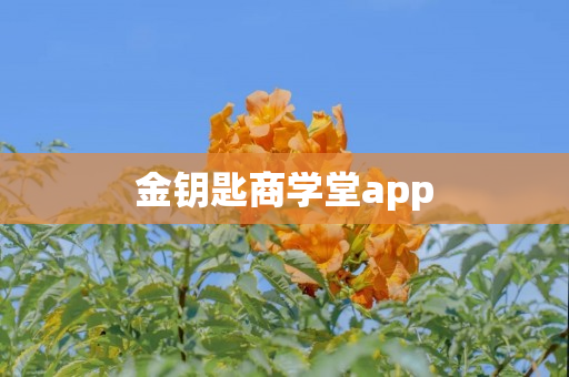 金钥匙商学堂app