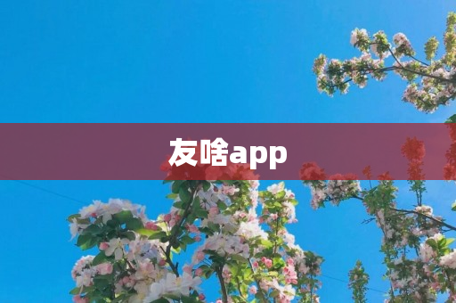 友啥app