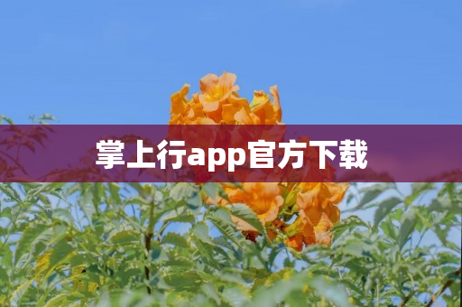 掌上行app官方下载