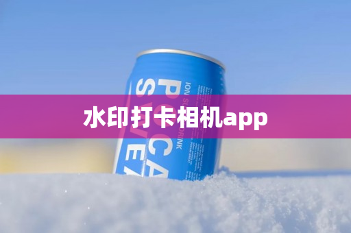 水印打卡相机app