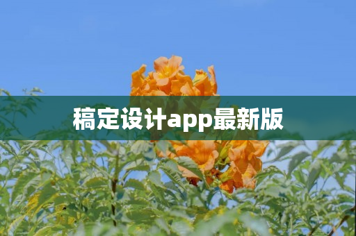 稿定设计app最新版