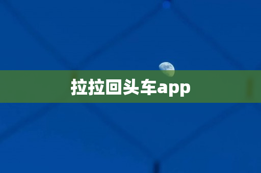 拉拉回头车app