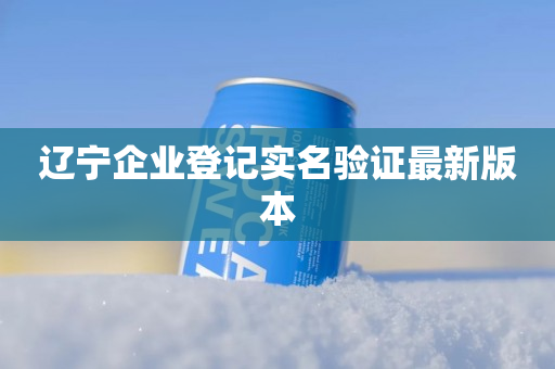 辽宁企业登记实名验证最新版本