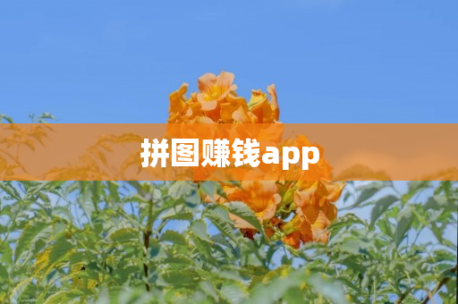 拼图赚钱app