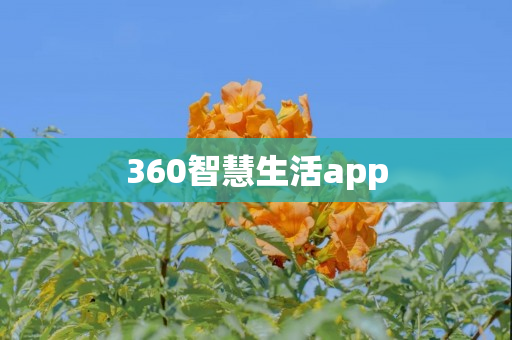 360智慧生活app