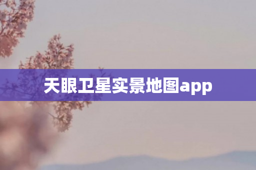 天眼卫星实景地图app