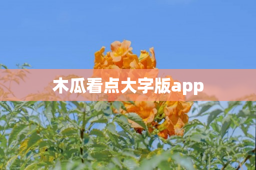 木瓜看点大字版app