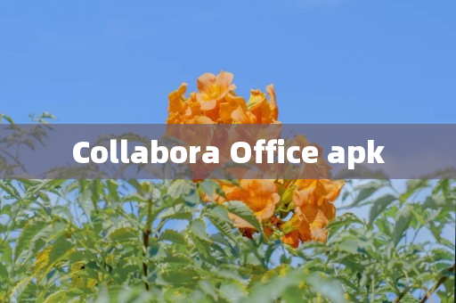 Collabora Office apk