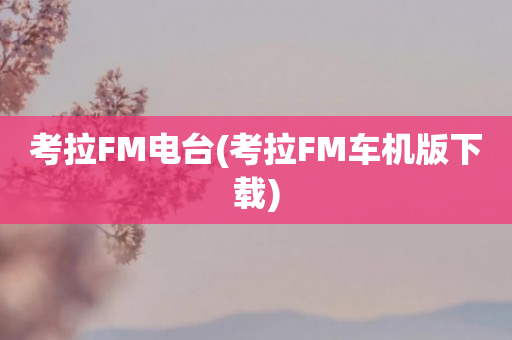 考拉FM电台(考拉FM车机版下载)