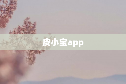 皮小宝app