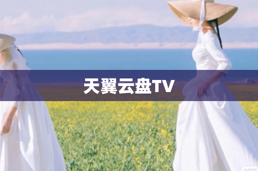 天翼云盘TV