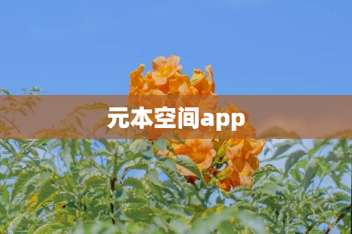 元本空间app