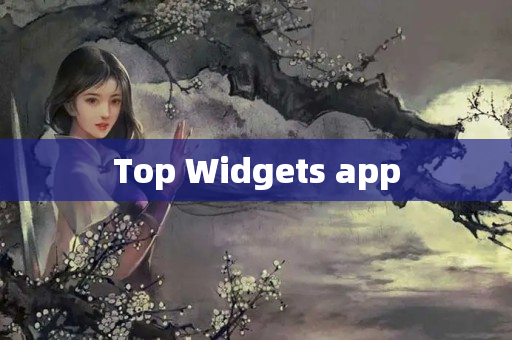 Top Widgets app