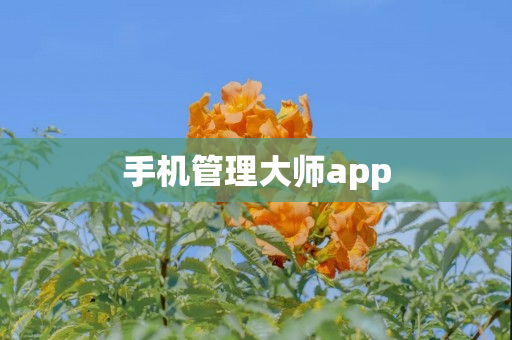 手机管理大师app