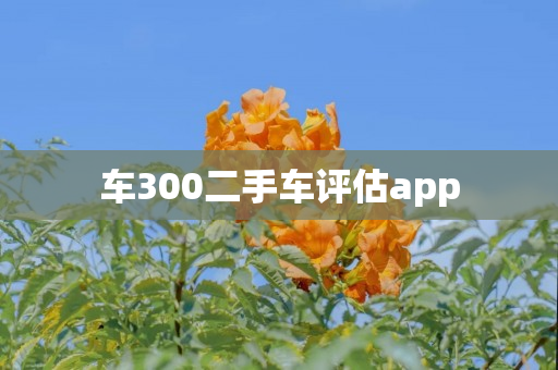 车300二手车评估app