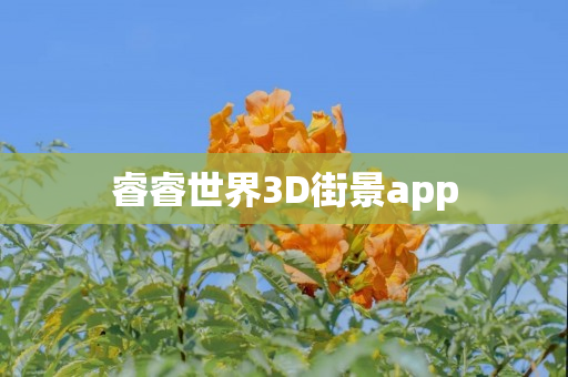 睿睿世界3D街景app