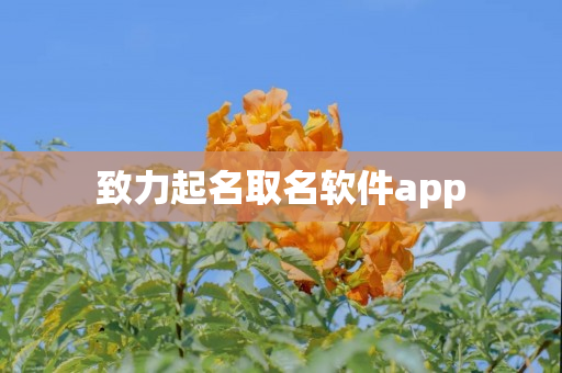 致力起名取名软件app