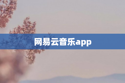 网易云音乐app