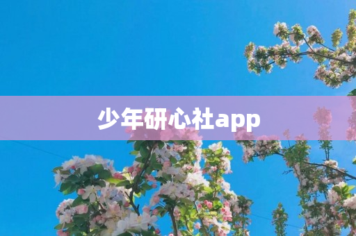 少年研心社app