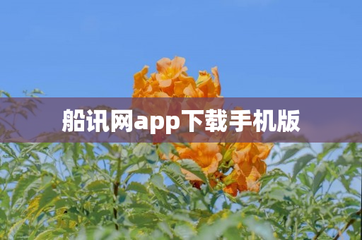 船讯网app下载手机版