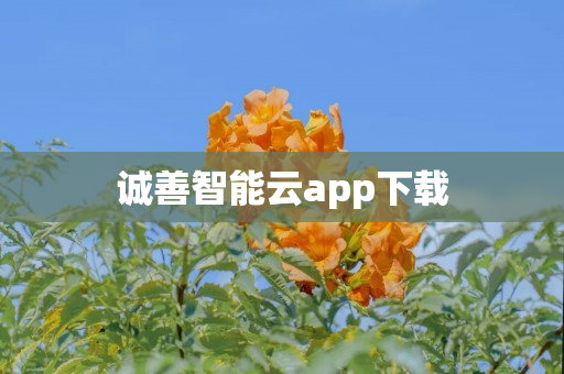 诚善智能云app下载