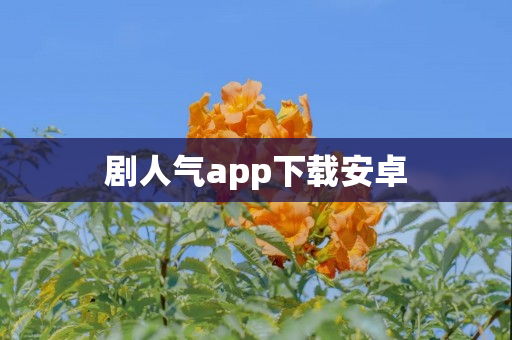 剧人气app下载安卓