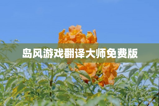 岛风游戏翻译大师免费版