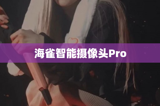 海雀智能摄像头Pro