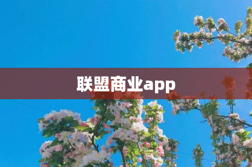 联盟商业app