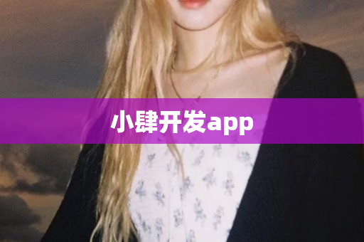 小肆开发app