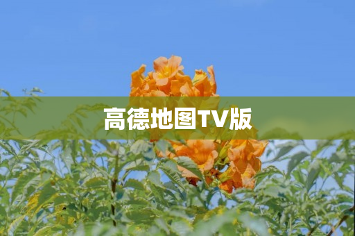 高德地图TV版