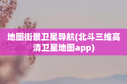 地图街景卫星导航(北斗三维高清卫星地图app)