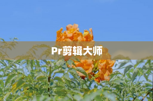 Pr剪辑大师