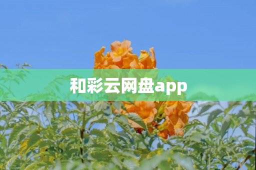 和彩云网盘app