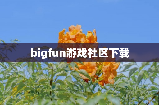 bigfun游戏社区下载