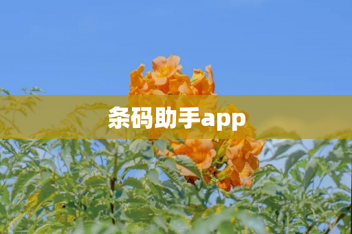 条码助手app